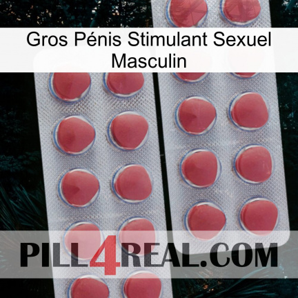 Gros Pénis Stimulant Sexuel Masculin 19